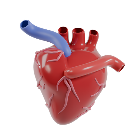 Heart Manusia  3D Icon
