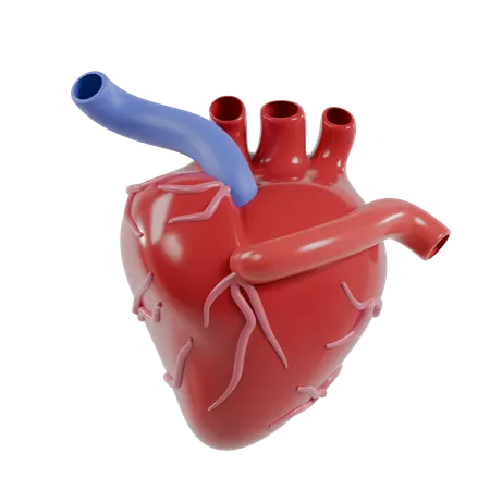 Heart Manusia  3D Icon