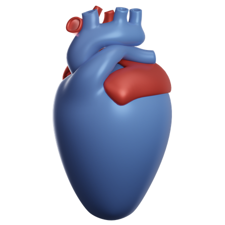 Heart Organ 3D Illustration