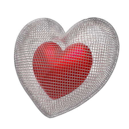 Heart Shape Net  3D Illustration