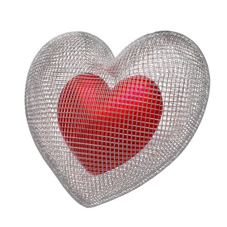 Heart Shape Net  3D Illustration