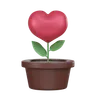 Heart Shaped Plant