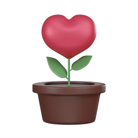 Heart Shaped Plant  3D Icon