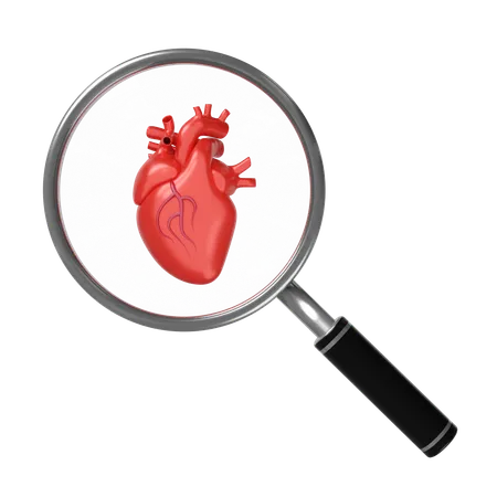 Heart With Magnifying Glass  3D Icon