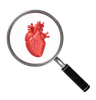 Heart With Magnifying Glass