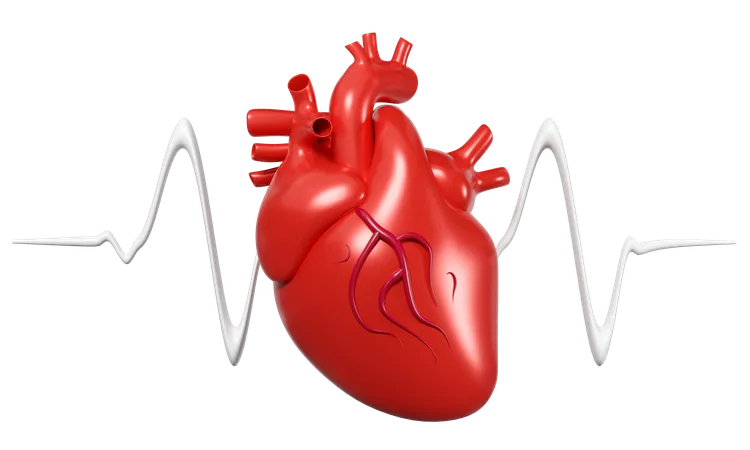 Heart With Heart Rate  3D Icon