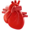 Hearth