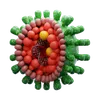 Hepatitis Virus