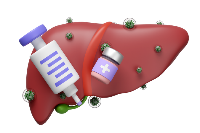 Hepatitis Virus Infection  3D Icon