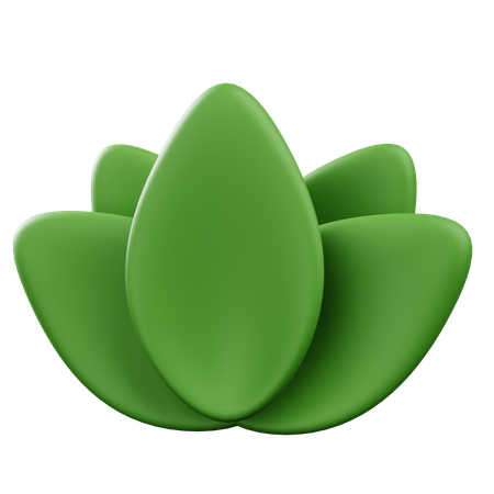 Herbal Wellness  3D Icon