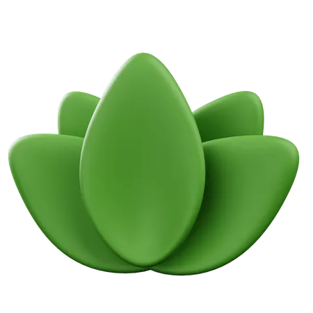 Herbal Wellness  3D Icon