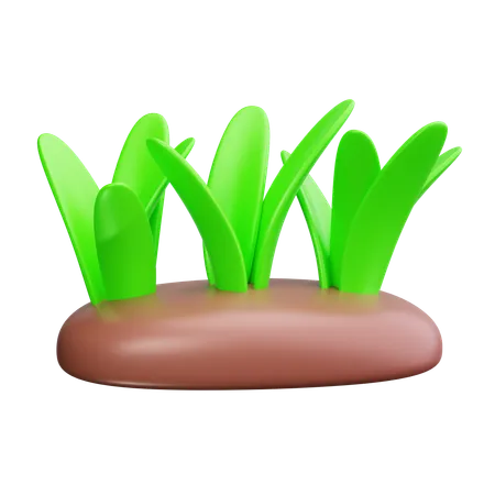 Herbe  3D Icon