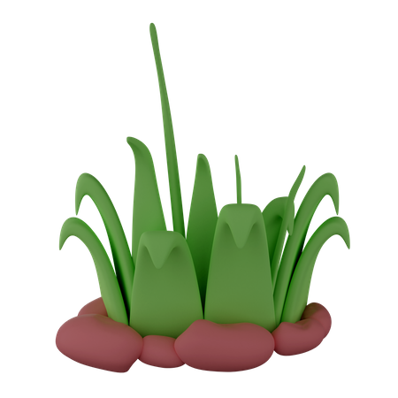 Herbe  3D Illustration