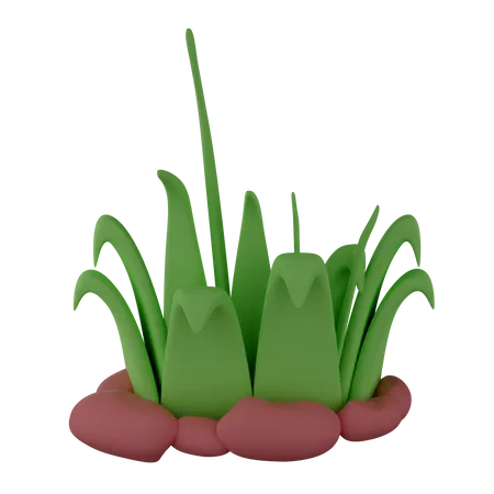 Herbe  3D Illustration