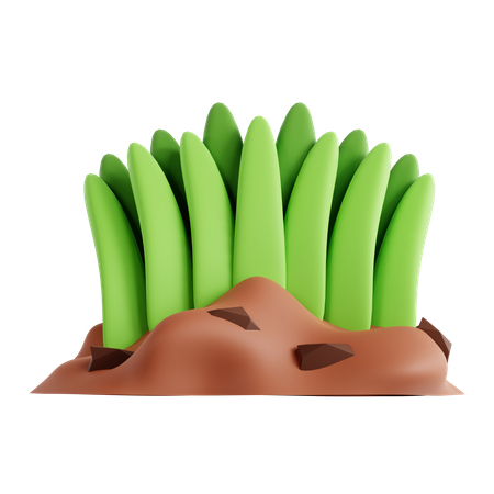 Herbe  3D Icon