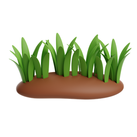 Herbe  3D Icon