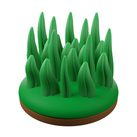 Herbe  3D Icon