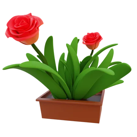 Herbe en pot  3D Icon