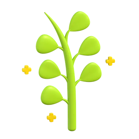 Herbes  3D Icon