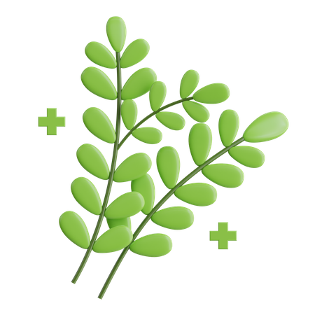 Herbes  3D Icon