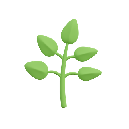 Plante herbacée  3D Illustration
