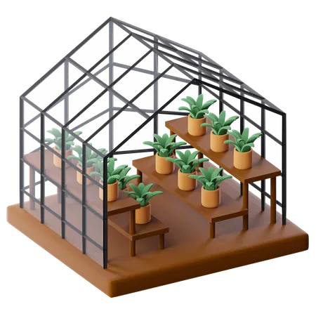Herborist  3D Icon