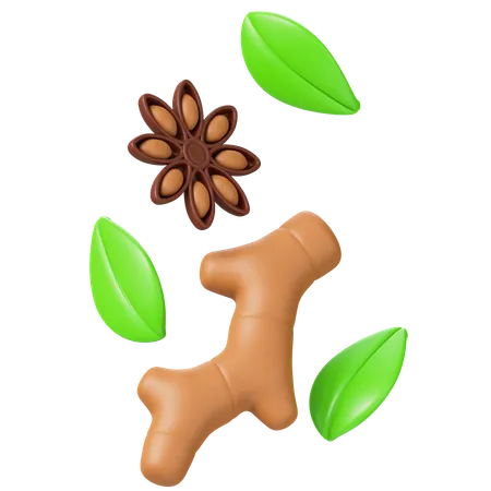 Herbs Spices 3 D Illustration 3D Icon