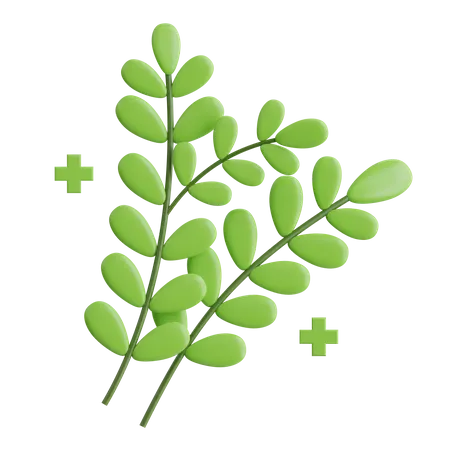 Herbs  3D Icon