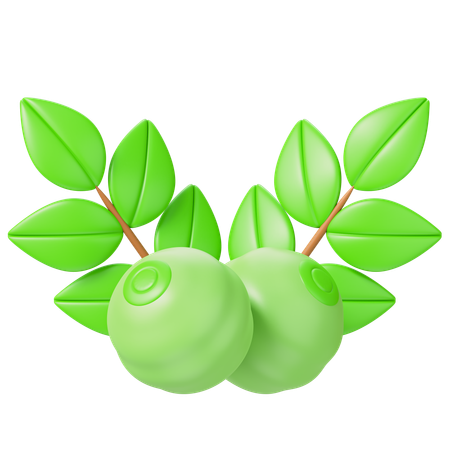 Herbs  3D Icon