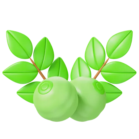 Herbs  3D Icon