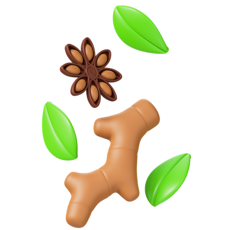 Herbs  3D Icon