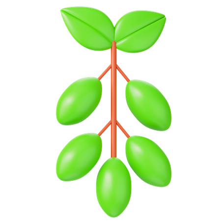Herbs  3D Icon