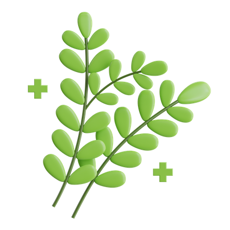 Herbs  3D Icon
