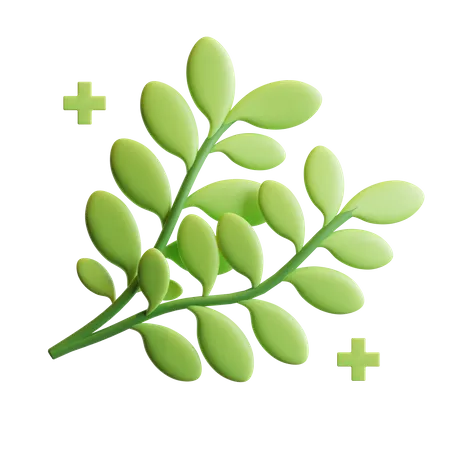 Herbs Plant  3D Illustration