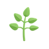 3d herbs illustration