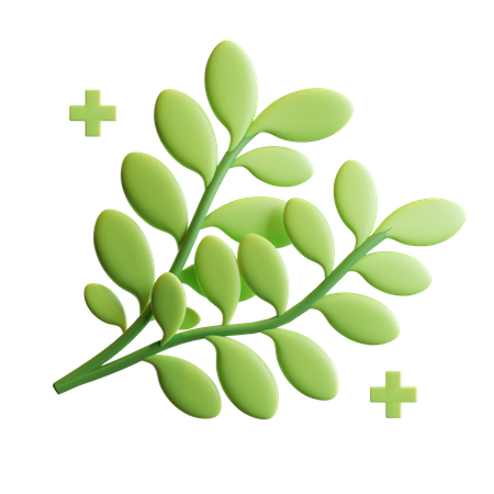 Herbs Plant 3D Illustration