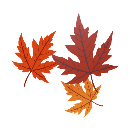 Herbstblätter  3D Illustration