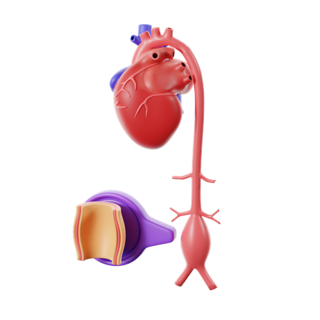 Herzkrankheit Aneurysma  3D Icon