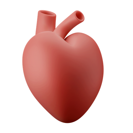 Herzorgan  3D Icon
