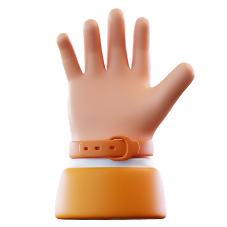 Hi Hand Gesture  3D Icon