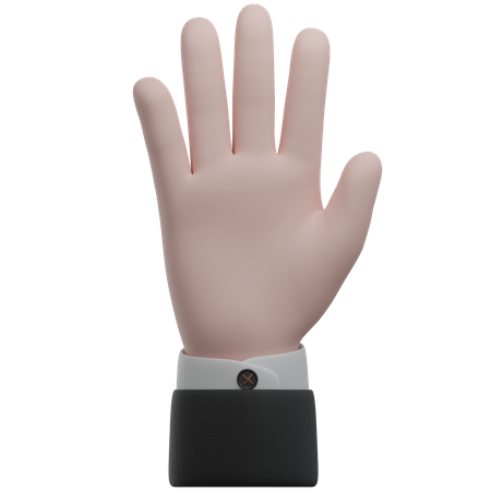 Hi Hand Gestures  3D Icon