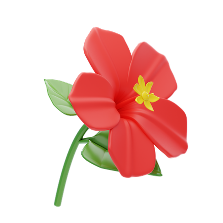 Hibisco  3D Icon