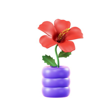 Hibisco  3D Icon