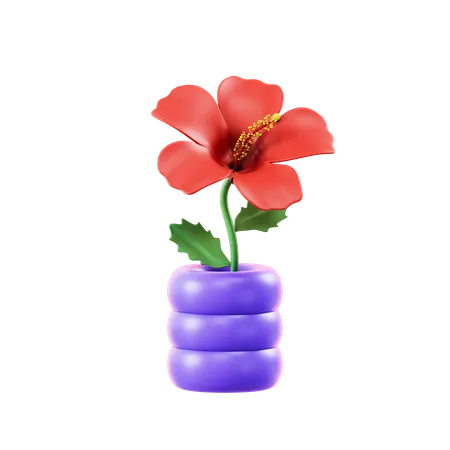 Hibisco  3D Icon