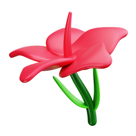 Hibisco  3D Icon