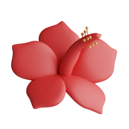 Hibiscus  3D Icon