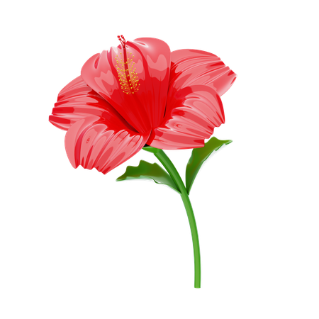 Hibiscus  3D Icon