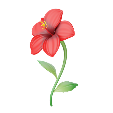 Hibiscus  3D Icon