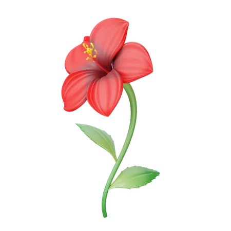 Hibiscus  3D Icon