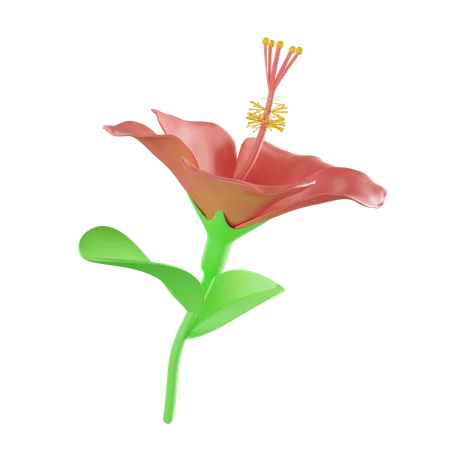 Hibiscus  3D Illustration